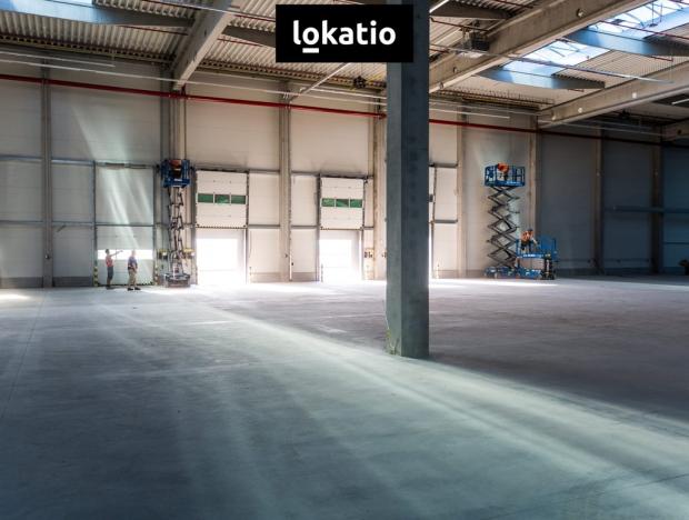 Pronájem skladu, Karviná, 10446 m2