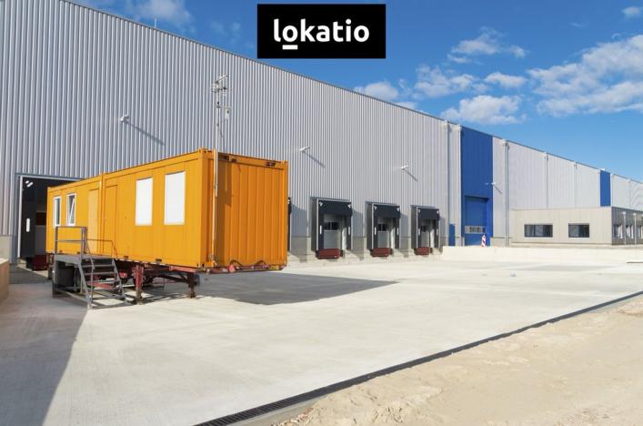 Pronájem skladu, Zákupy, U Trati, 15628 m2