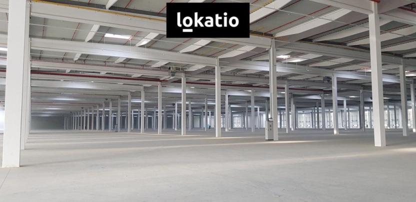 Pronájem skladu, Podbořany, 20311 m2