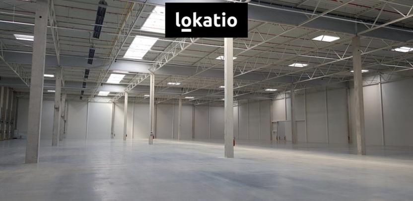 Pronájem skladu, Jirkov, 4300 m2
