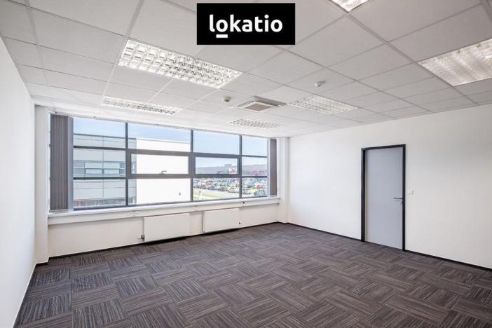 Pronájem skladu, Žatec, Plzeňská, 5562 m2