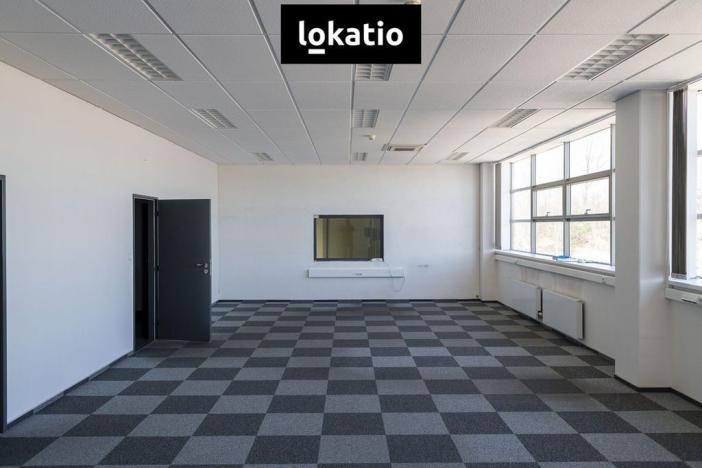 Pronájem skladu, Most, Skyřická, 8712 m2