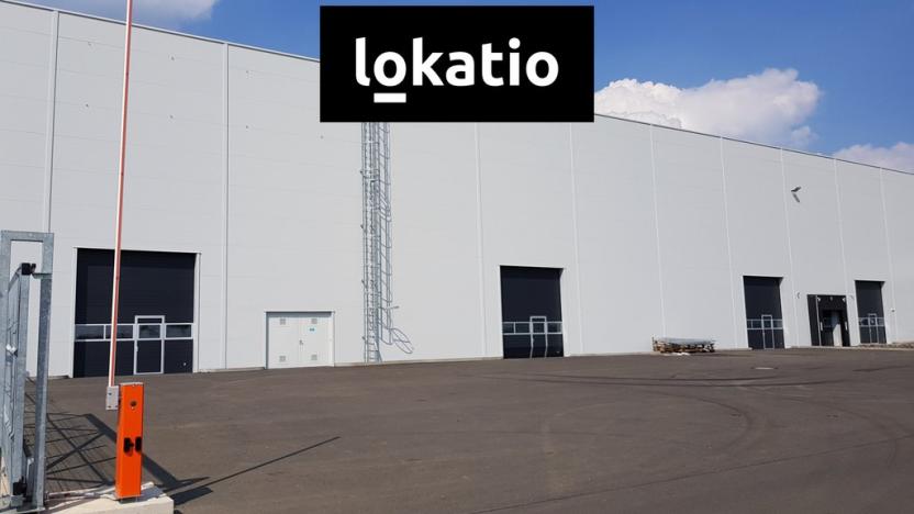 Pronájem skladu, Žatec, 9131 m2