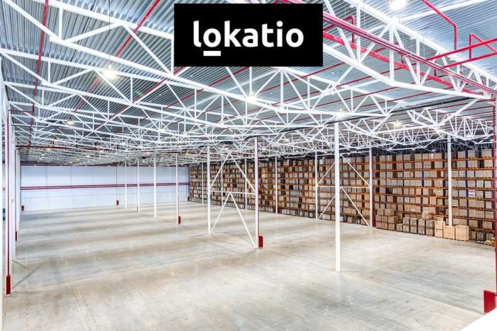 Pronájem skladu, Ostrava, 2878 m2