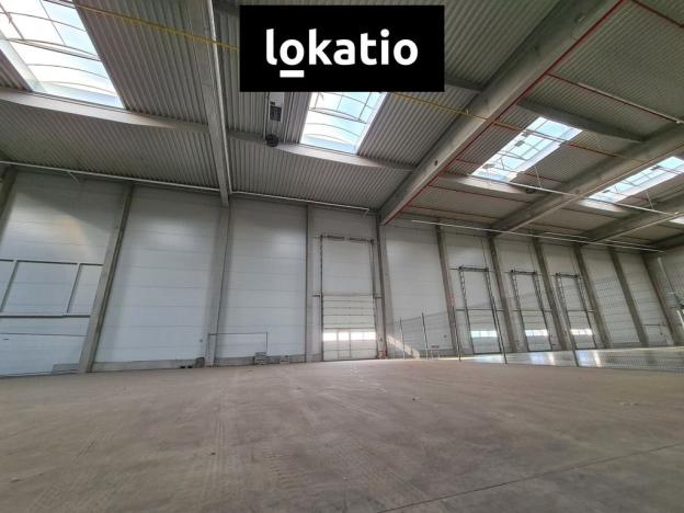 Pronájem skladu, Hranice, 6166 m2