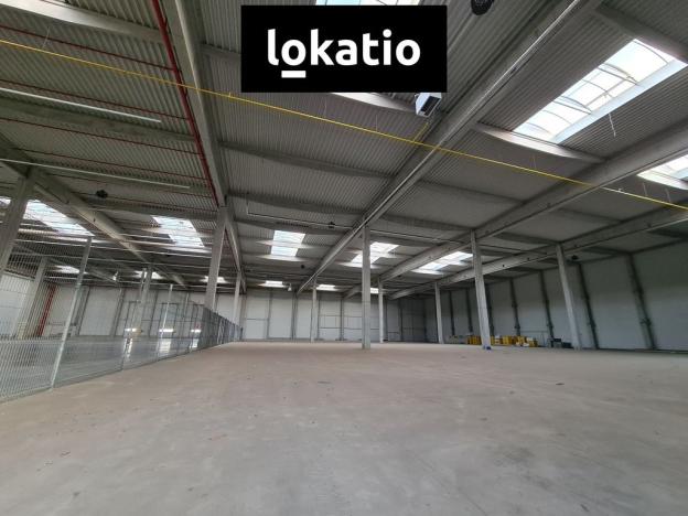 Pronájem skladu, Hranice, 6166 m2