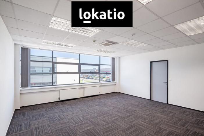 Pronájem skladu, Cerhovice, 14000 m2