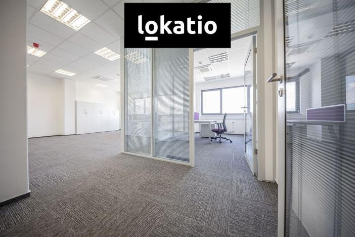 Pronájem skladu, České Budějovice, Okružní, 30300 m2