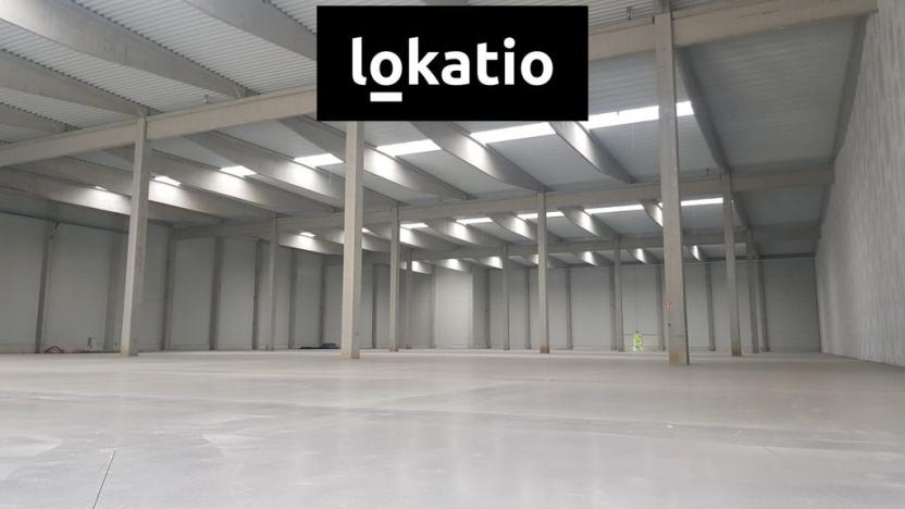Pronájem skladu, Prostějov, 9972 m2