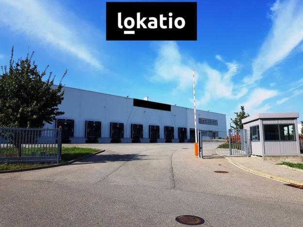 Pronájem skladu, Brno, 37900 m2