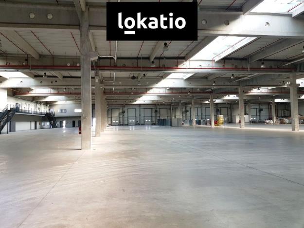 Pronájem výrobních prostor, Brno, 5271 m2