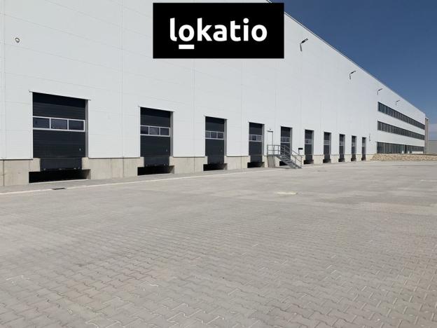 Pronájem skladu, Solnice, Průmyslová, 5456 m2