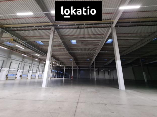Pronájem skladu, Ostředek, 5672 m2