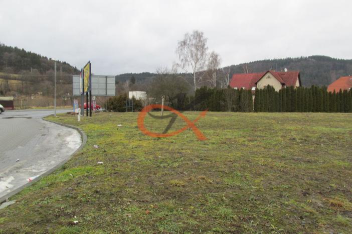 Pronájem komerčního pozemku, Bystřička, 1978 m2