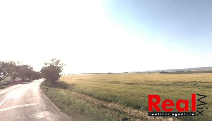 Prodej zemědělské půdy, Křenovice, 38913 m2