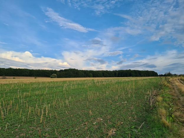 Prodej pozemku pro komerční výstavbu, Plzeň, Rokycanská, 22239 m2