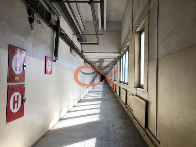 Pronájem komerční nemovitosti, Kraslice, Dukelská, 1500 m2